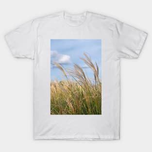 Landscape T-Shirt